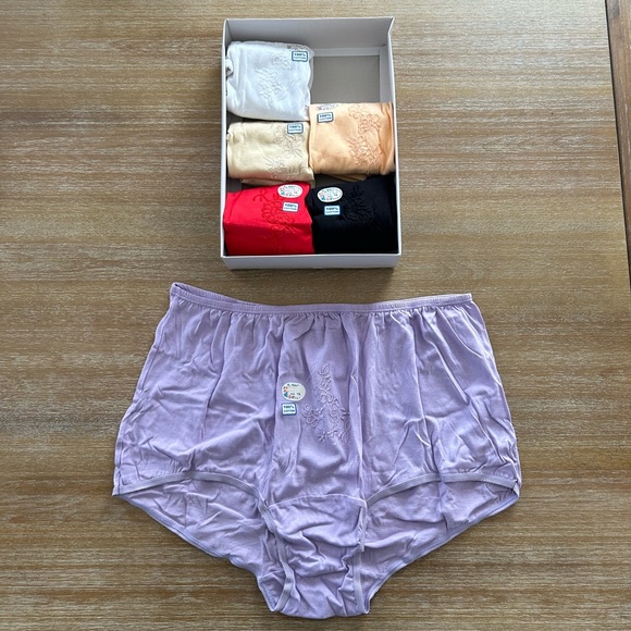 Dream Girl Other - Ladies Panty Briefs - Size 15